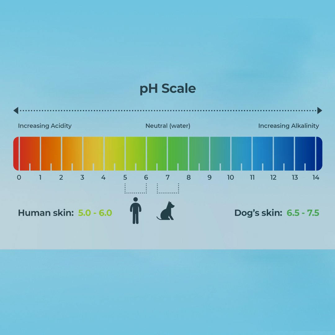 WAG the Dog Why Using Human Shampoo on Dogs is Unsafe Pet Care Insights WAG the Dog Mobile Grooming